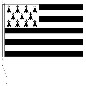 Preview: Flagge Bretagne 20 x 30 cm