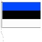 Preview: Flagge Estland 20 x 30 cm
