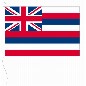Preview: Flagge Hawaii (USA) 80 X 120 cm