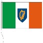 Preview: Flagge Irland mit Wappen 120 x 200 cm