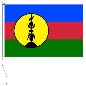 Preview: Flagge Neukaledonien 150 x 225 cm