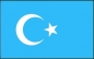 Preview: Flagge Ostturkistan 90 x 150 cm