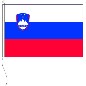 Preview: Flagge Slowenien 20 x 30 cm
