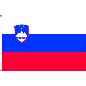Preview: Flagge Slowenien 90 x 150 cm