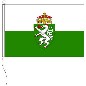 Preview: Flagge Steiermark 150 x 250 cm