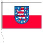 Preview: Flagge Thüringen mit Wappen 150 x 250 cm