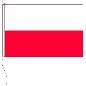 Preview: Flagge Thüringen ohne Wappen 80 x 120 cm
