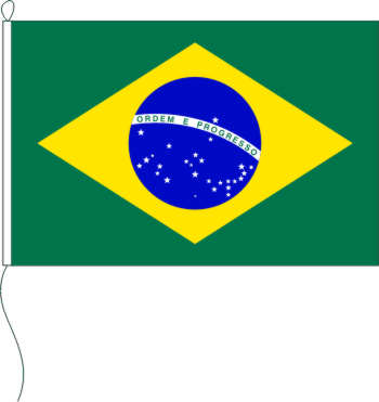 Flagge Brasilien 30 x 45 cm
