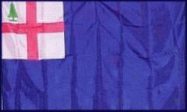 Flagge Bunker Hill (USA) 90 x 150 cm