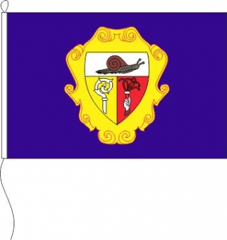 Flagge Campione d´Italia 30 x 45 cm