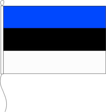 Fahne Flagge Estland 30 x 45 cm