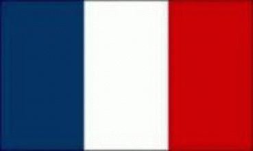 Flagge Frankreich 50 x 75 cm