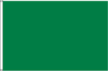 Motorsportflagge grün 90 x 60 cm