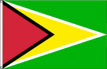 Flagge Guyana 150 x 90 cm