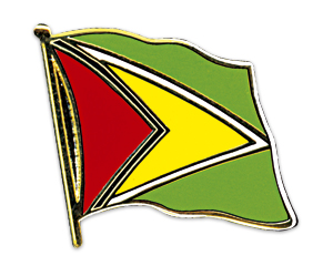 Anstecknadel Guyana (VE 5 Stück) 2,0 cm