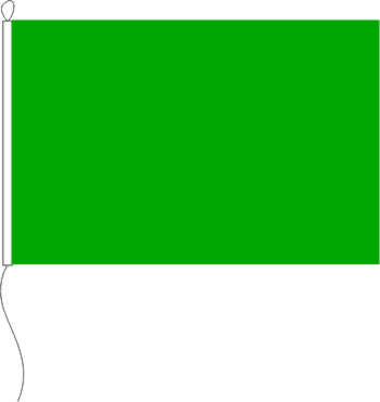 Flagge Farbe grün 100 x 100 cm