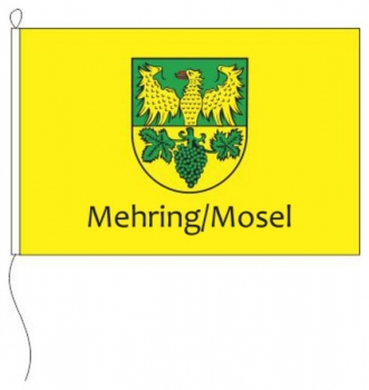 Flagge Gemeinde Mehring 120 x 80 cm Marinflag