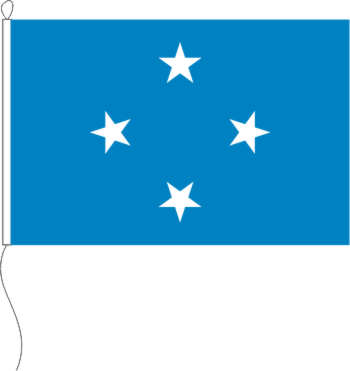 Flagge Mikronesien 30 x 20 cm Marinflag