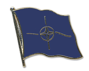 Anstecknadel NATO (VE 5 Stück) 2,0 cm