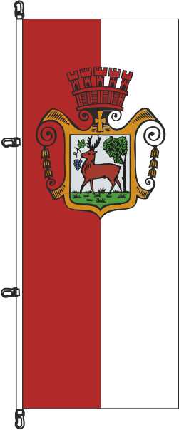 Flagge Obernburg am Main  200 x  80 cm Qualit?t Marinflag