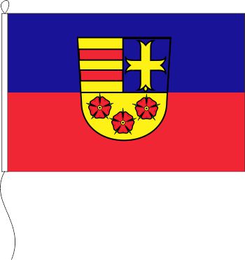 Flagge Oldenburg Landkreis 20 x 30 cm Marinflag