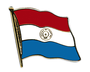Anstecknadel Paraguay (VE 5 Stück) 2,0 cm