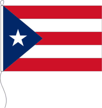 Flagge Puerto Rico 40 x 60 cm