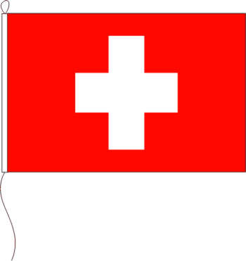 Flagge Fahne Schweiz Appenzell Ausserrhoden Hissflagge 90 x 90 cm 