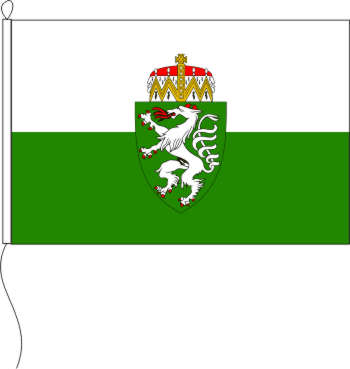 Flagge Steiermark 150 x 250 cm