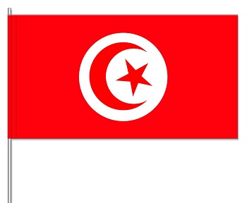 Papierfahnen Tunesien  (VE   50 Stück) 12 x 24 cm