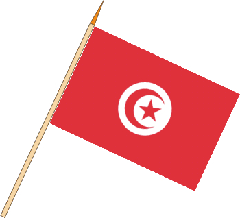 Stockflagge Tunesien ( VE 10 Stück ) 30 x 45 cm