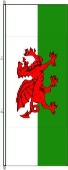 Flagge Wales 200 x 80 cm Marinflag