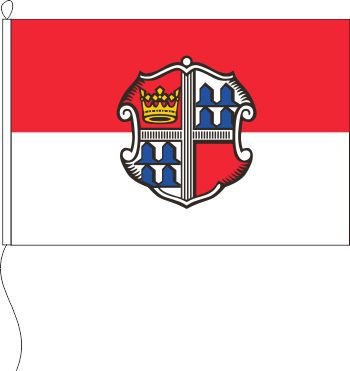 Flagge Wörth am Main 20 x 30 cm