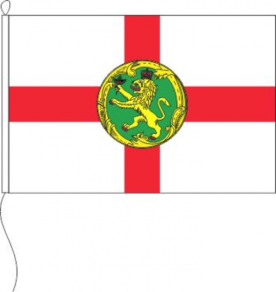 Flagge Alderney 20 x 30 cm Marinflag