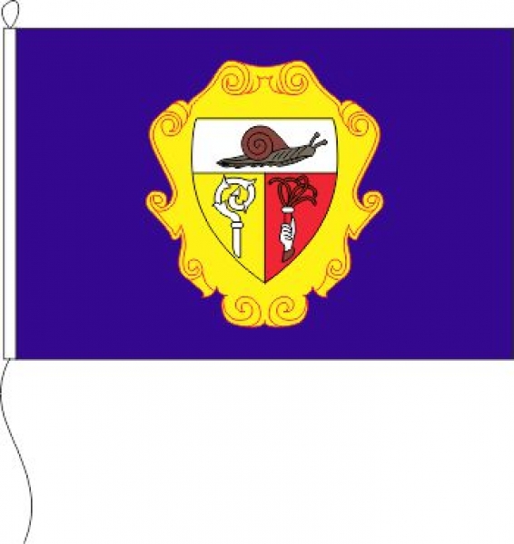 Flagge Campione d´Italia 40 x 60 cm