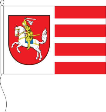 Flagge Dithmarschen 20 X 30 cm