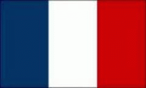 Flagge Frankreich 50 x 75 cm