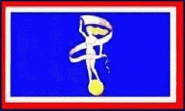 Flagge Glückstadt 90 x 150 cm