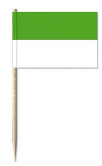 Mini-Papierfahnen Schützen grün/weiß (VE 100 Stück) 3 x 4 cm
