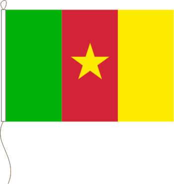 Flagge Kamerun 80 x 120 cm