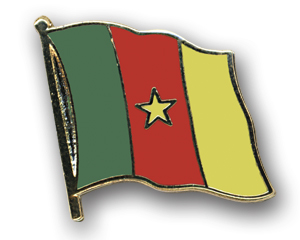 Anstecknadel Kamerun (VE 5 Stück) 2,0 cm