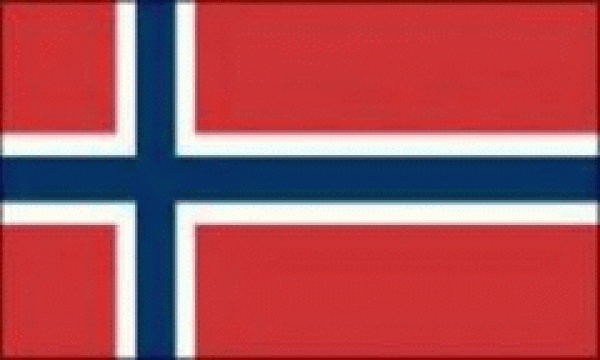 Flagge Norwegen 50 x 75 cm