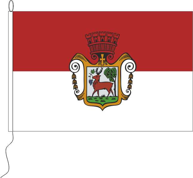 Flagge Obernburg am Main   30 x 20 cm Marinflag