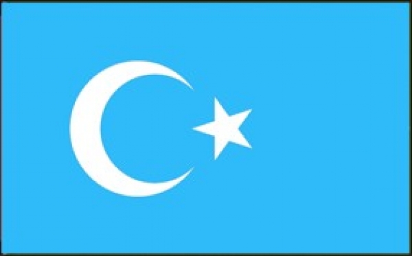 Flagge Ostturkistan 90 x 150 cm