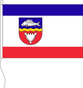 Flagge Preetz 20 x 30 cm