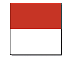 Flagge Solothurn (Schweiz) 120x120