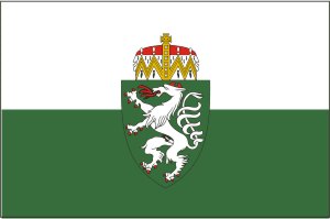 Flagge Steiermark 100 x 150