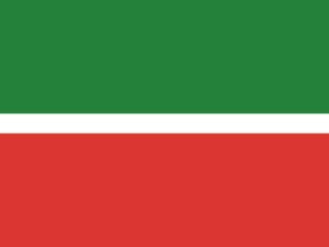 Flagge Tatarstan 80 x 120 cm