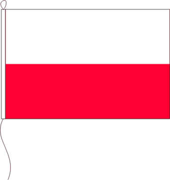 Flagge Thüringen ohne Wappen 80 x 120 cm