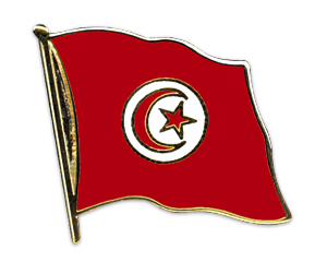 Anstecknadel Tunesien (VE 5 Stück) 2,0 cm